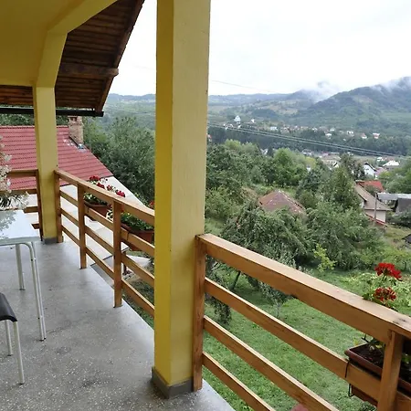 Pensiunea Tiuta 3*