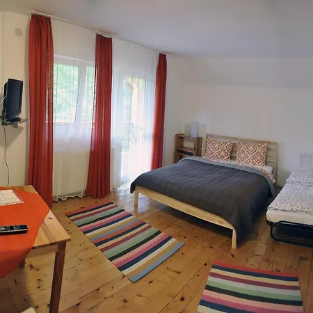 Pensiunea Tiuta 3*