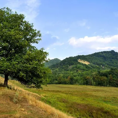 Pensiunea Tiuta Πανσιόν 3*