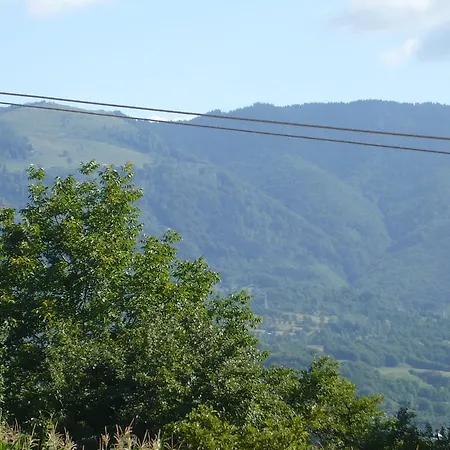 Πανσιόν Pensiunea Tiuta 3*