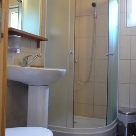 Guest house Pensiunea Tiuta 3*